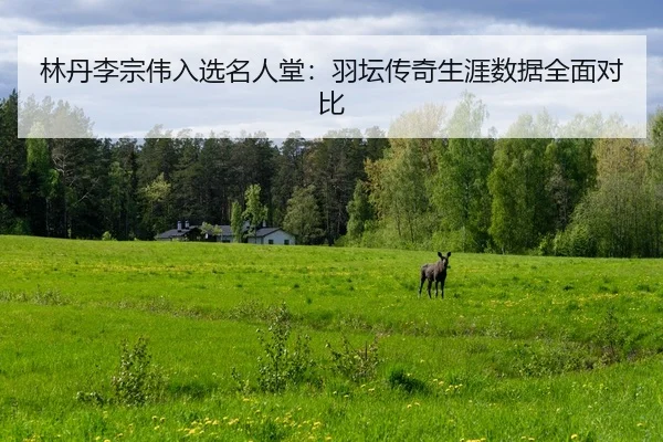 lin-dan-li-zong-wei-ru-xuan-ming-ren-tang-yu-tan-chuan-qi-sheng-ya-shu-ju-quan-mian-dui-bi-2-394.jpg
