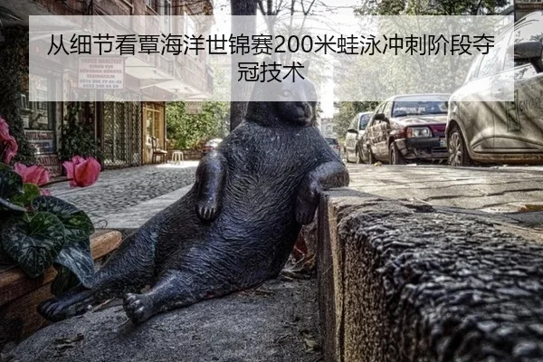 从细节看覃海洋世锦赛200米蛙泳冲刺阶段夺冠技术